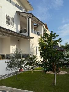 Guest House White Villa