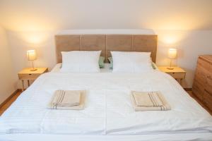 Villa Gallera - Modern Family House Nearby Slovak Paradise, Spiš