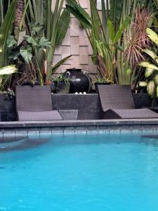 SURFARIS INN on poppies 2 apartment