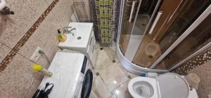 Оперний через дорогу