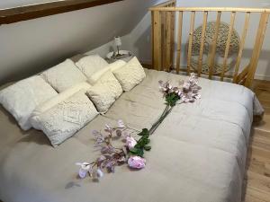 Le domaine des amours