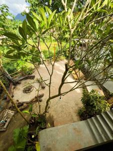 Tropical Project in Pai