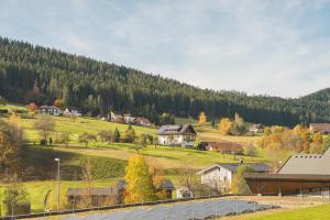 Tonbach 70 - Schwimmbad, Sauna, Solarium, Balkon