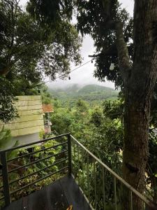 Peaceful Stream Homestay