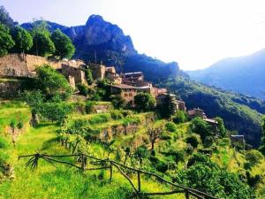 Studio isolated in a natural case