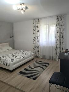 Pensiunea Magnolia din Tismana