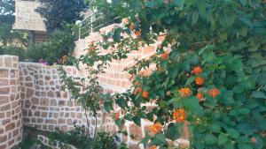 Le Chalet di Tabarka