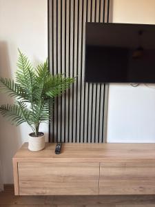 Victoria 1 Room Apartment- Self Check in 24h