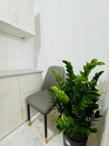 Viet Home Stay Pho Chua Lang 2 - Campus View Home