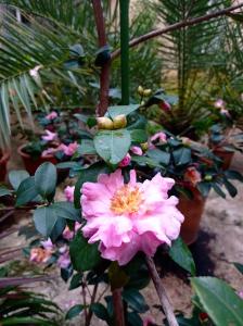 Appartament CASAVINTAGE