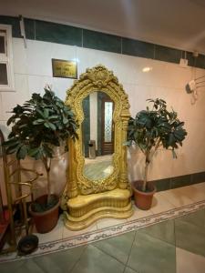 أللورا زون - Alora Zone