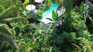 The Valley Tayrona hostel- A social jungle hostel