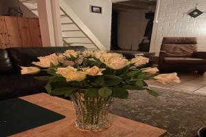 Holiday Home Warmenhuizen near Dunes