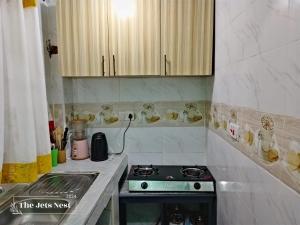 The Nest #Obama Mansion