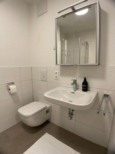Design Vogue Apt-Zentrum-Outlet-Aufzug-WM