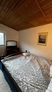 Cozy Mountain Home in Predeal