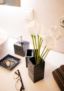 VIP apartments Bitola