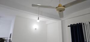 Villa white pepper bibile