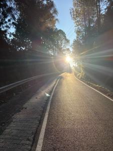 Sanchis Homestay 2BHK