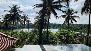 Aloha farms- By the lake