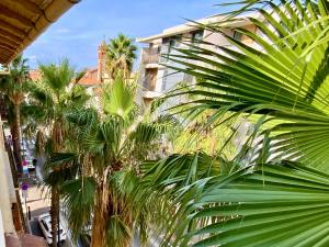 T2 Rénové Cosy et Lumineux