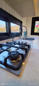 Cabaña nueva en un campo de limones