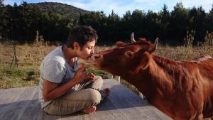 Sejours a la ferme Ferme de Chiuni : Bungalow Familial