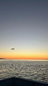 Santa Ana - Casa Cardon