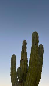 Santa Ana - Casa Cardon
