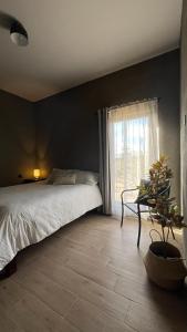 Santa Ana - Casa Cardon