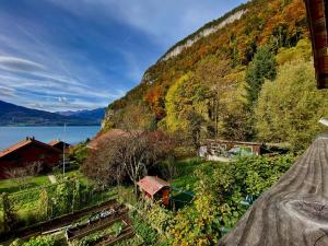 Romantic Alpine Farmhouse with Superview of Lake Near Interlaken