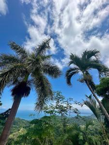 Brand New Luxe Condo - Amazing Ocean Views