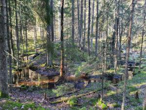 6 person holiday home in ÅSBRO-By Traum