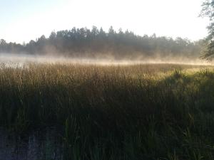 6 person holiday home in ÅSBRO-By Traum