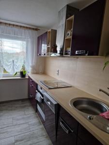 Ferienwohnung Krysanovsk