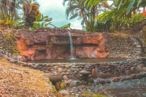 Puerto Quito Lodge - Las Iguanas