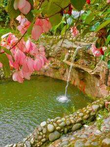 Puerto Quito Lodge - Las Iguanas