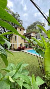 Hospedaje Los Pavo Reales