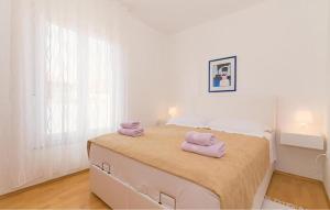 Awesome Apartment In Pirovac With Wifi