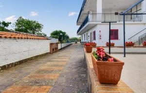 2 Bedroom Pet Friendly Apartment In Casal Velino