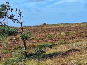 8 person holiday home in Rømø-By Traum