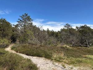 8 person holiday home in Rømø-By Traum