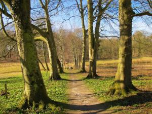 6 person holiday home in Højslev-By Traum