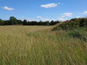 6 person holiday home in Højslev-By Traum