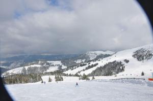 Almliebe-Feriendorf Koralpe