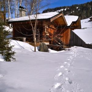 Hüttenurlaub in der Goldwäscherhütt in Zell a See by FeWo-Planrhütte Nähe
