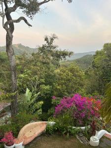 Luxury Penthouse suite in Altos del Maria