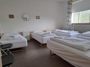 Studlagil INN Hostel