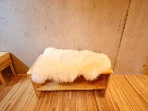 Dog-friendly holiday apartment in Bregenzerwald