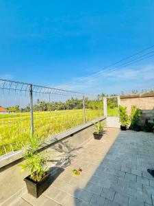 Luxury private 1bedroom in ricefields
